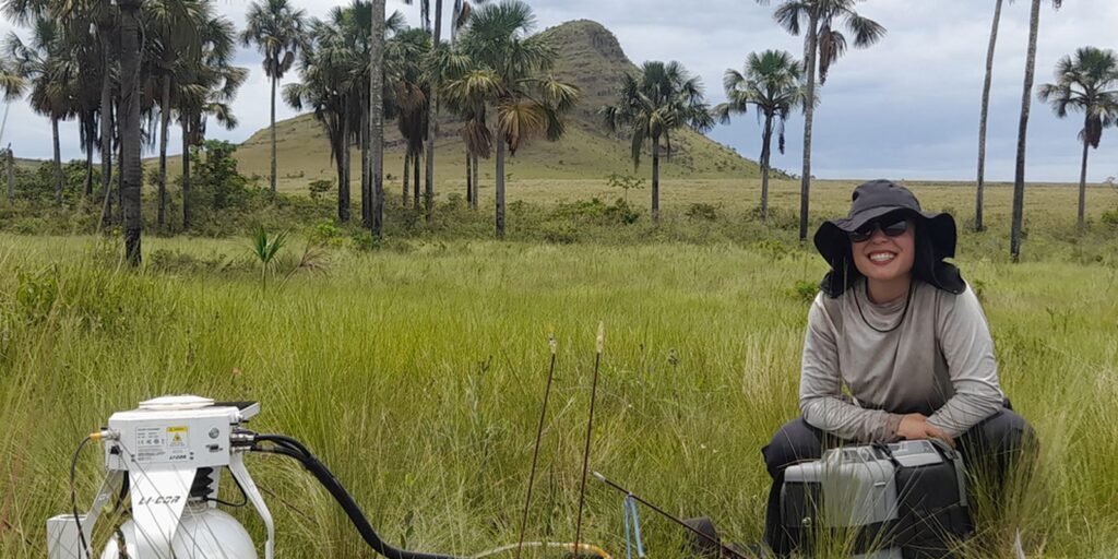 Estudo Revela Capacidade Surpreendente de Armazenamento de Carbono no Cerrado