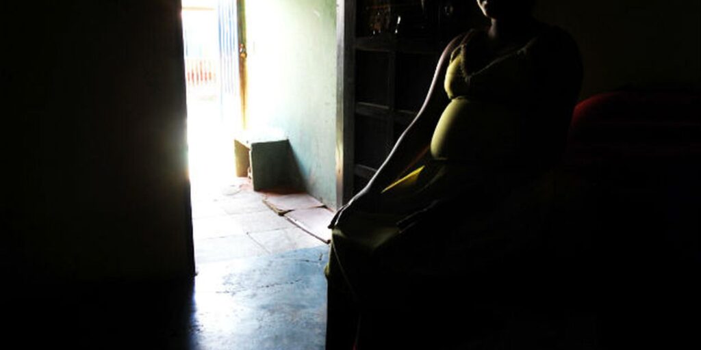 Desigualdades no Acesso ao Pré-Natal no Brasil: Desafios e Perspectivas