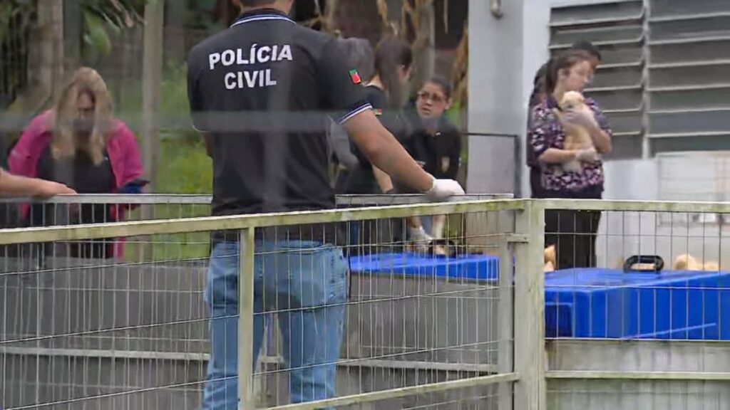 Mais de 200 Animais Resgatados de Canil Interditado no RS São Encaminhados para ONG