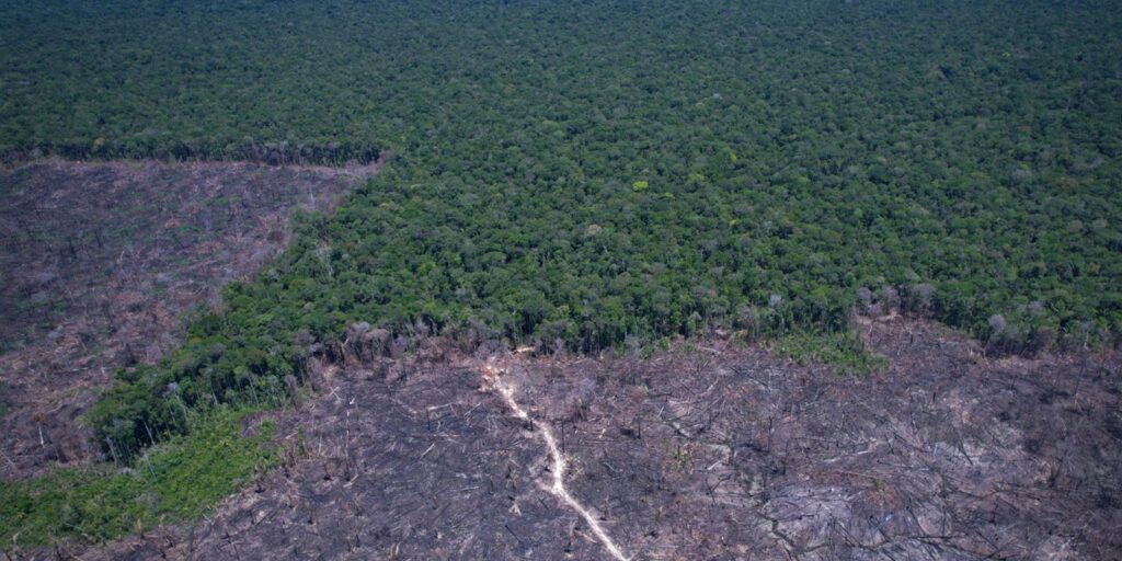 Proposta de Acelerador Global de Implementação Climática é Apresentada na Dinamarca
