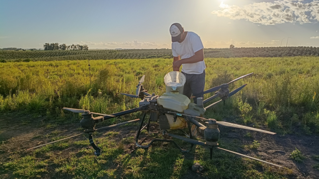 Drones e Solução Biológica Revolucionam Combate a Carrapatos no RS