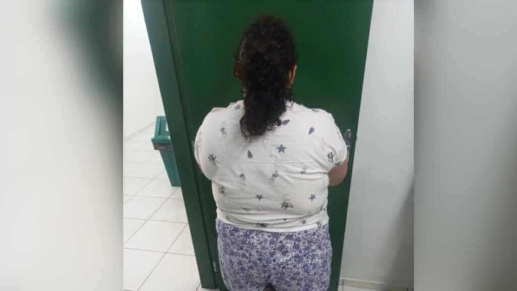 Mulher de 37 Anos É Presa por Fingir Ser Adolescente de 12 em Santa Catarina